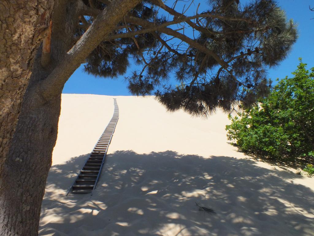 Hotel Camping De La Dune "Les Flots Bleus" Pyla Sur Mer Exteriér fotografie